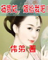 小说《杨贵妃，嫁给我吧！》TXT百度云_杨贵妃，嫁给我吧！