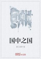 最新中国小说_国中之国