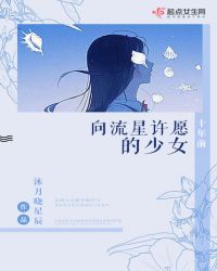 男主女主是薛悦,董祁煊,燕岚的小说是什么_十年前向流星许愿的少女