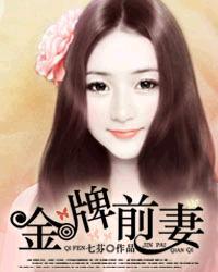 男主女主是叶海伊,张琛,许默熙的小说是什么_金牌前妻