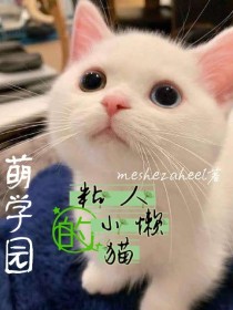 粘人懒懒的猫_萌学园：粘人的小懒猫