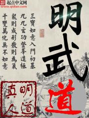男主女主是陆胜,陆纯元,田曼茵的小说是什么_明武道