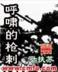 男主女主是叶扶苏,刘爱国,马野的小说是什么_呼啸的枪刺
