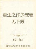 重生宠妻无下限的小说_重生之许少宠妻无下限