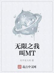 我叫mt之小说_无限之我叫MT