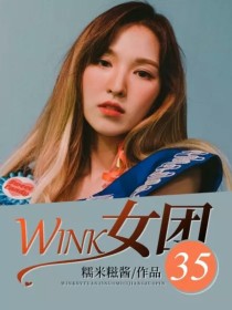 女人35小说_WINK女团35