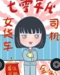 小说《七零年代女货车司机》TXT百度云_七零年代女货车司机