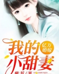 男主女主是姜小白,萧雅,姜语的小说是什么_亿万婚嫁：我的小甜妻