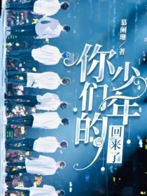 小说《你们的少年回来了》TXT下载_你们的少年回来了