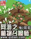 男主女主是陈子昂,巨木,泽塔西亚的小说是什么_网游之植物召唤师