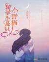 男主女主是姜北,文婷,徐朗的小说是什么_转学生是只小野猫