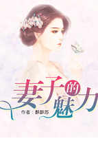 男主女主是刘鹏,李可儿,莫辰的小说是什么_妻子的魅力