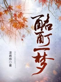 男主女主是苏逸枫,慕羽,白千枝的小说是什么_酩酊一梦