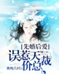 [小说]《先婚后爱：误惹天价总裁》作者：青梅几时  初次见面，她惹怒他，逃离现场，却不知他是呼风唤雨的风行集_先婚后爱:误惹天价总裁