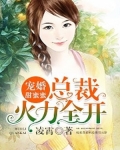 小说《宠婚甜蜜蜜：总裁火力全开》TXT下载_宠婚甜蜜蜜：总裁火力全开