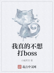 小说《我真的不想打boss》TXT百度云_我真的不想打boss