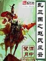 赵风 三国_乱三国之赵氏风云