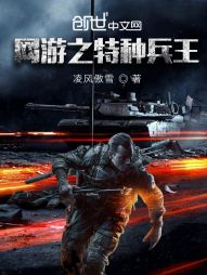 网游兵种小说_网游之特种兵王