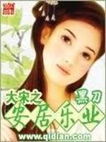 男主女主是林靖文,林靖,高丽的小说是什么_大宋之安居乐业