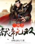 三国献帝无双txt_三国之献帝无双