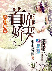 男主女主是傅北宸,瑶瑶,林叶薇的小说是什么_名门暖宠首席娇妻