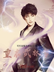 男主女主是乔枫,王鑫,菲儿的小说是什么_重启武林梦