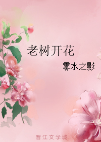 男主女主是老赵,香香,刘纯的小说是什么_老树开花