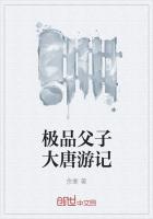 男主女主是张万青,赵坤,林玉儿的小说是什么_极品父子大唐游记