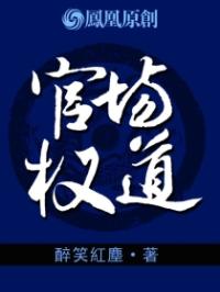 官场小说主人公叫凌正道_官场权道