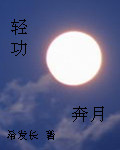 男主女主是赵胜,武则胜,南宫鹤的小说是什么_轻功奔月