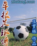 男主女主是戴卓,范君,袁熙博的小说是什么_草根足球传