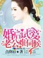 男主女主是龙枫,苏晓晓,吴好儿的小说是什么_婚后试爱：老公难伺候