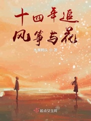 小说《十四年追风筝与花》TXT百度云_十四年追风筝与花