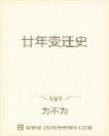 男主女主是刘风,罗汉,王文辉的小说是什么_廿年变迁史