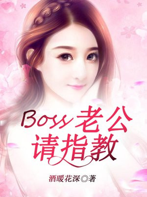 小说《Boss老公请指教》TXT百度云_Boss老公请指教