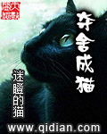 男主女主是魏威,张蓓,南云的小说是什么_夺舍成猫