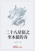 男主女主是李雄,长孙,时宇的小说是什么_二十八星宿之奎木狼传奇