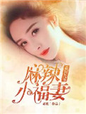 男主女主是陈可欣,程琳,晨宇的小说是什么_重回九零麻辣小福妻