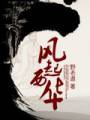 男主女主是浩仁,刘湘,张灵甫的小说是什么_风起西华