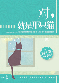 男主女主是唐宁,全志龙,志龙的小说是什么_[韩娱]对，就是那只猫
