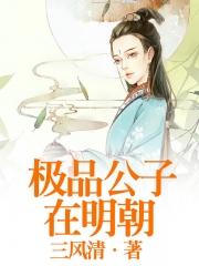 男主女主是赵宝,李广,刘瑾的小说是什么_极品公子在明朝