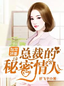 小说《甜宠娇妻：总裁的秘密情人》TXT下载_甜宠娇妻：总裁的秘密情人