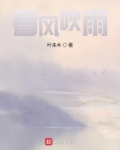 仙风剑雨录小说免费看完整版_看风吹雨