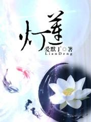 男主女主是林钰,张禾,李香儿的小说是什么_莲灯