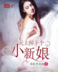 男主女主是晓月,杨润,童晓月的小说是什么_天上掉下个小新娘