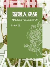 男主女主是叶子兰,江滨,李勇刚的小说是什么_婚姻大决战