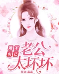 小说《婚不由己：老公太坏坏》TXT下载_婚不由己：老公太坏坏