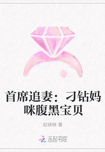 腹黑妈咪宝贝妻_首席追妻：刁钻妈咪腹黑宝贝