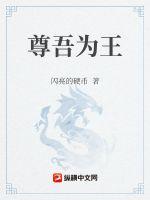 小说《尊吾为王》TXT百度云_尊吾为王