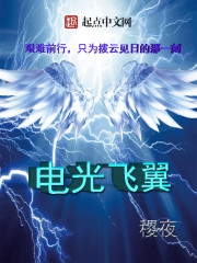 男主女主是林安宇,林艾欣,项琳涵的小说是什么_电光飞翼